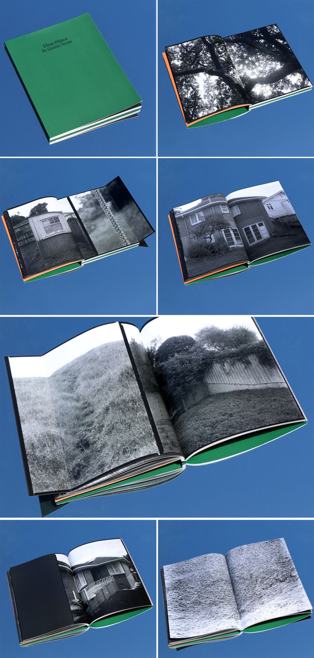 Ziggy Bond_That Place is Gone Now - Montage 1600