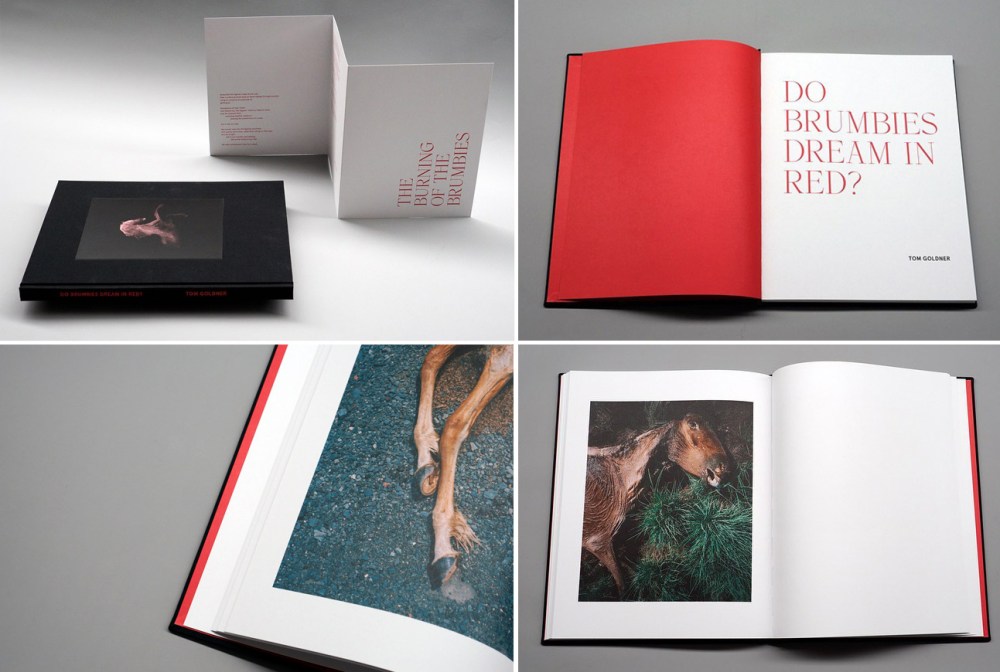 Tom Goldner "Do Brumbies Dream in Red?"