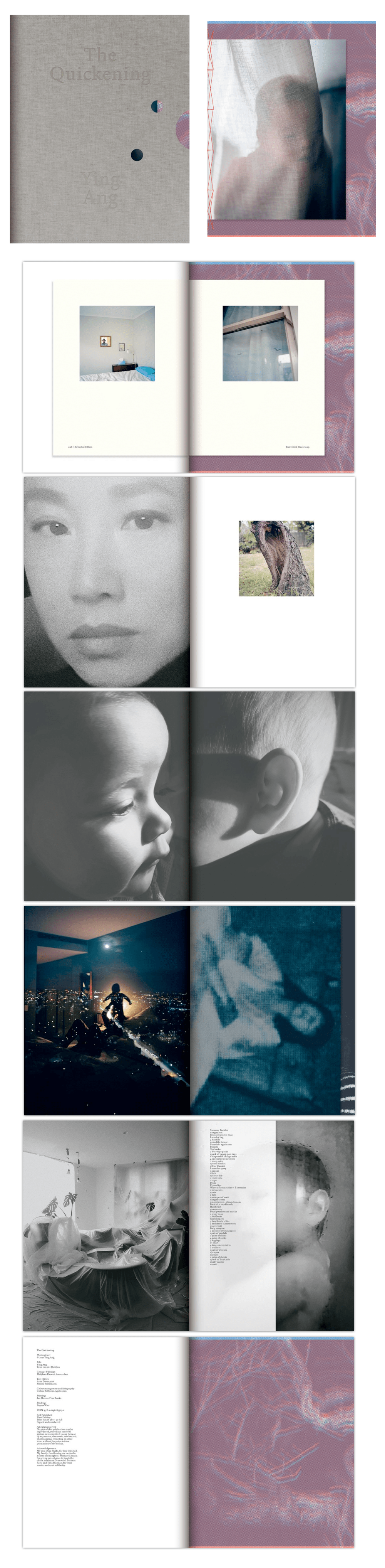 Ying Ang's The Quickening: A memoir on matrescence