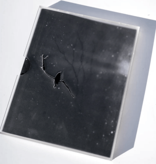 Morganna Magee's Special Edition