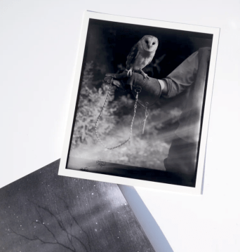 Morganna Mcgee;s Extraordinary Experiences - Print Edn