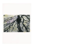 'Folk Syndrome' by Cameron McLaren