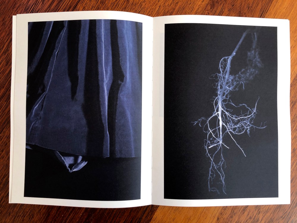 Nightshade double page spread