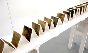 Belinda Whitta's   'Reach into the Soil'