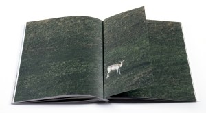 Shaday Moore's 'The Missing Deer'