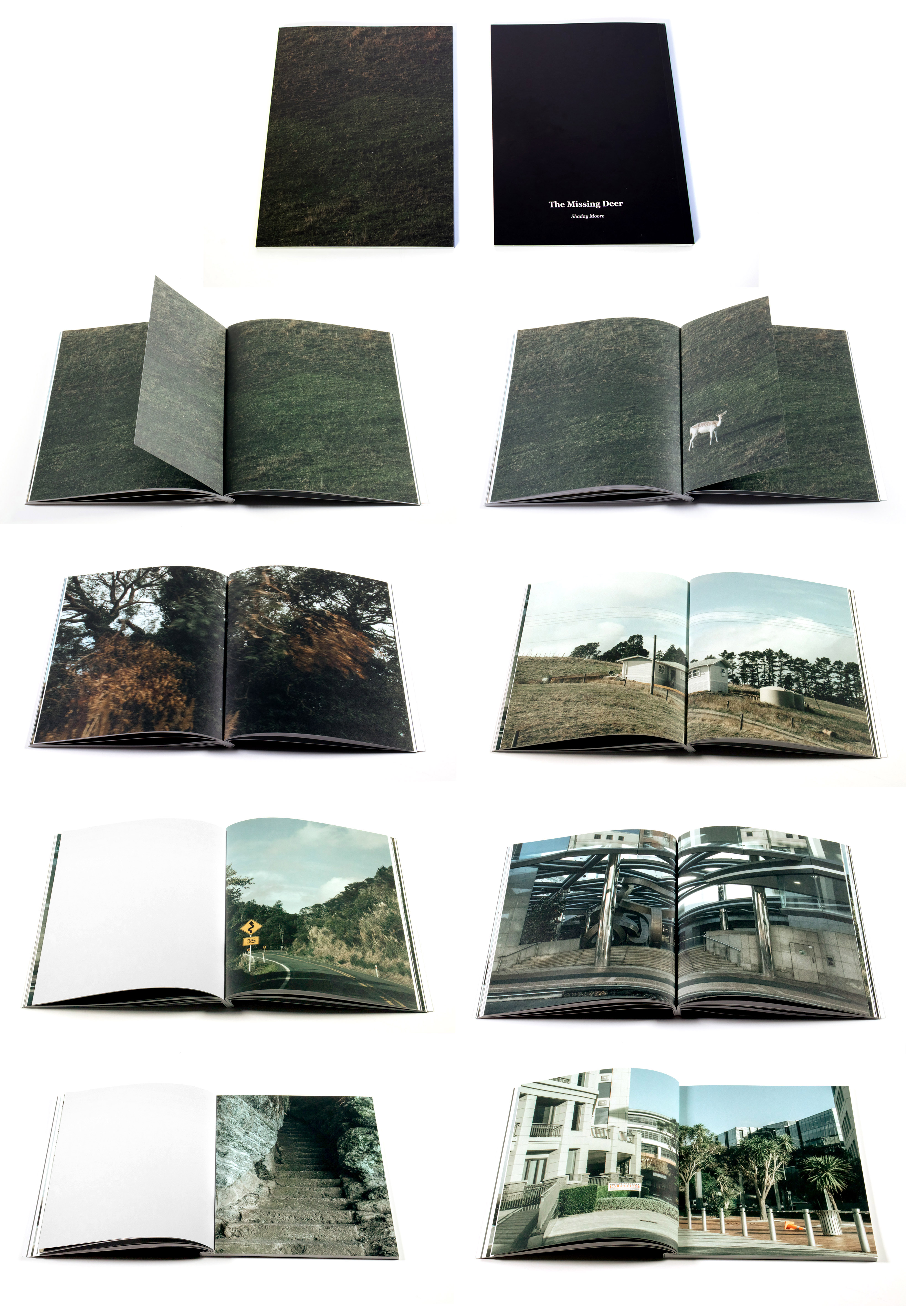 Shaday Moore's 'The Missing Deer'