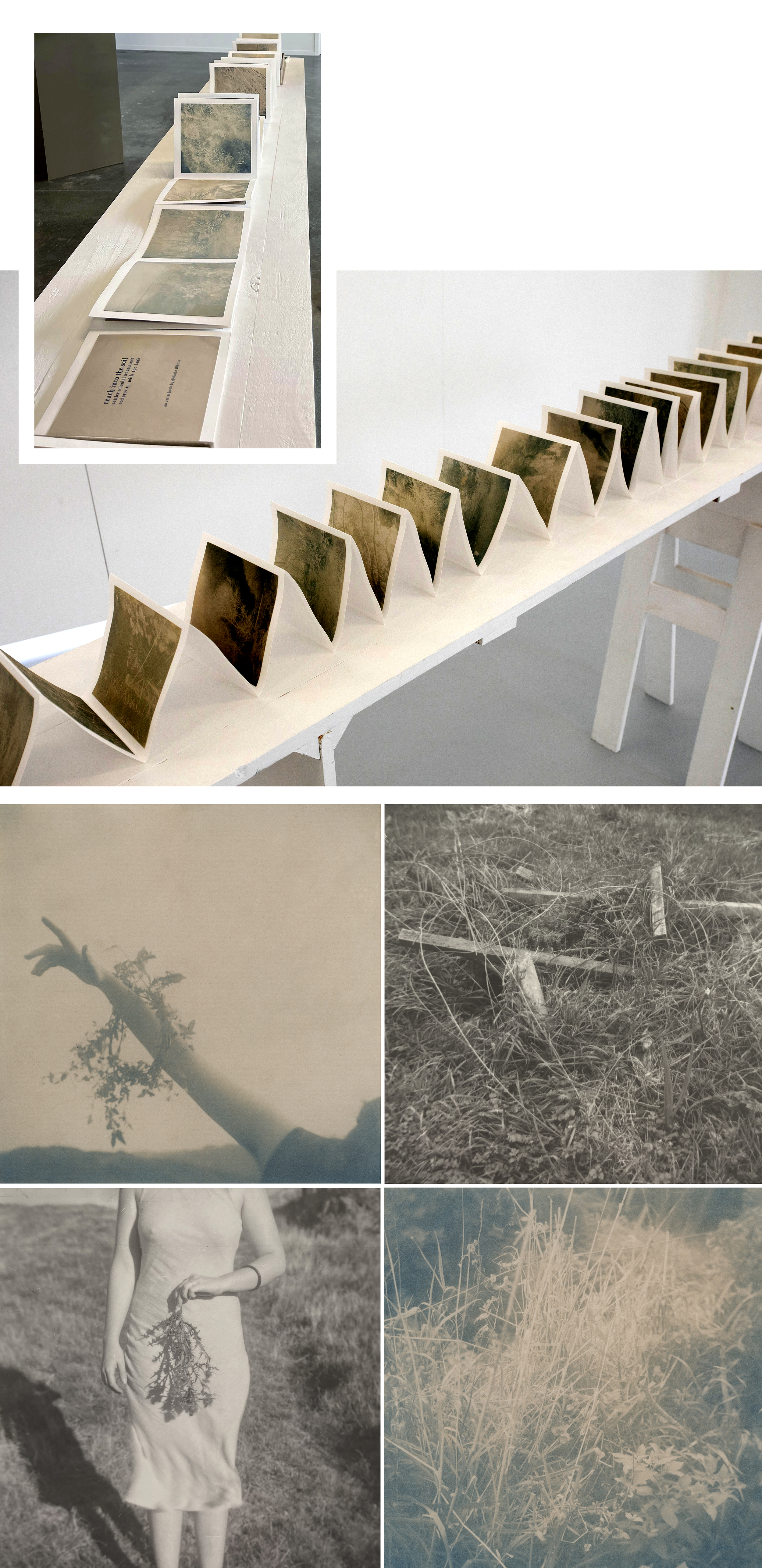 Belinda Whitta's Reach into the Soil