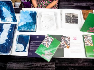 Cecilia Sordi Campos