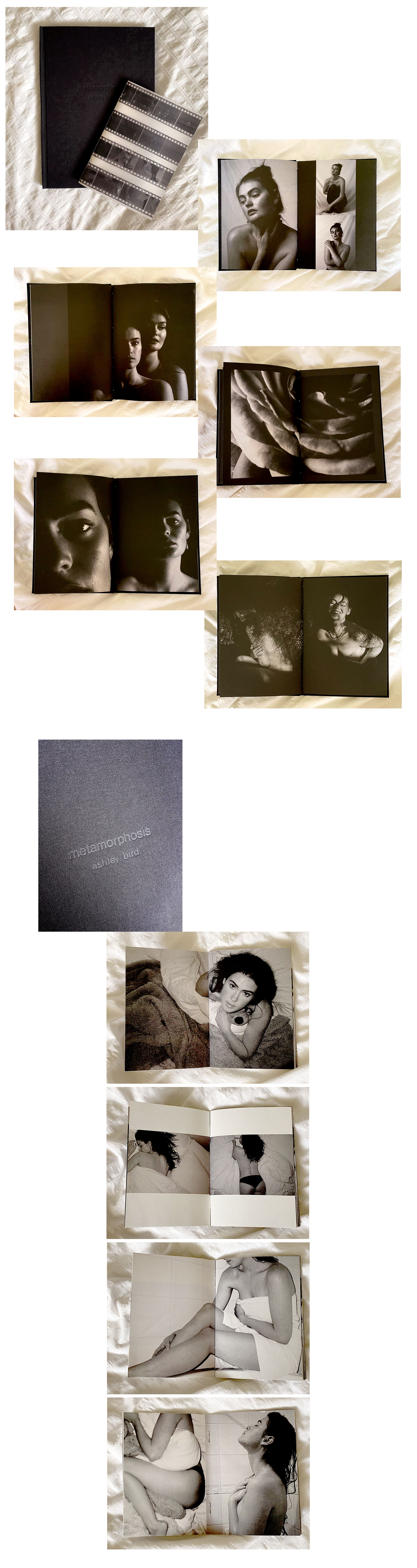 Ash Bird 'Metamorphisis'