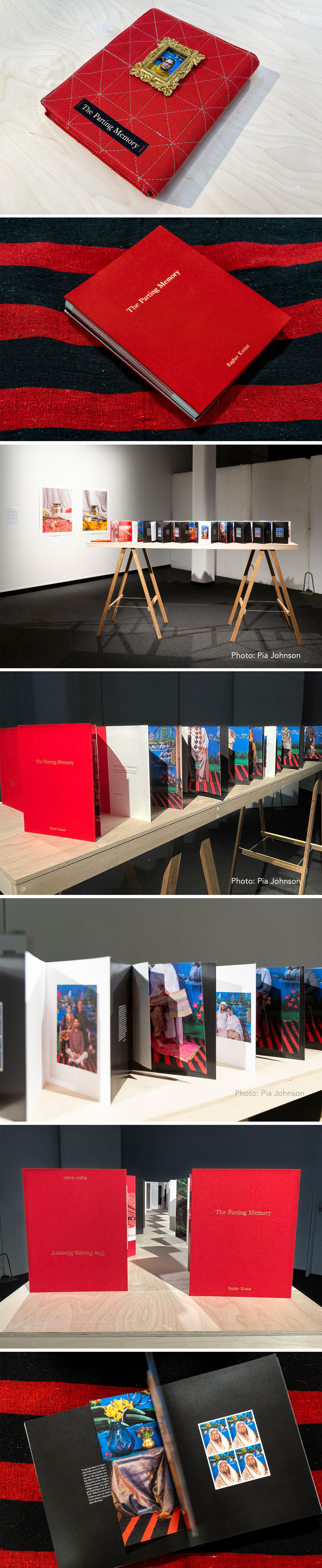 Raghav Kumar 'The Parting Memory'