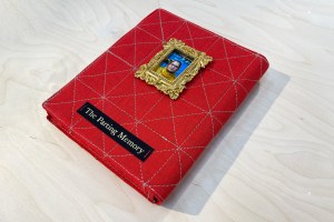 Raghav Kumar - 'The Parting Memory' cover